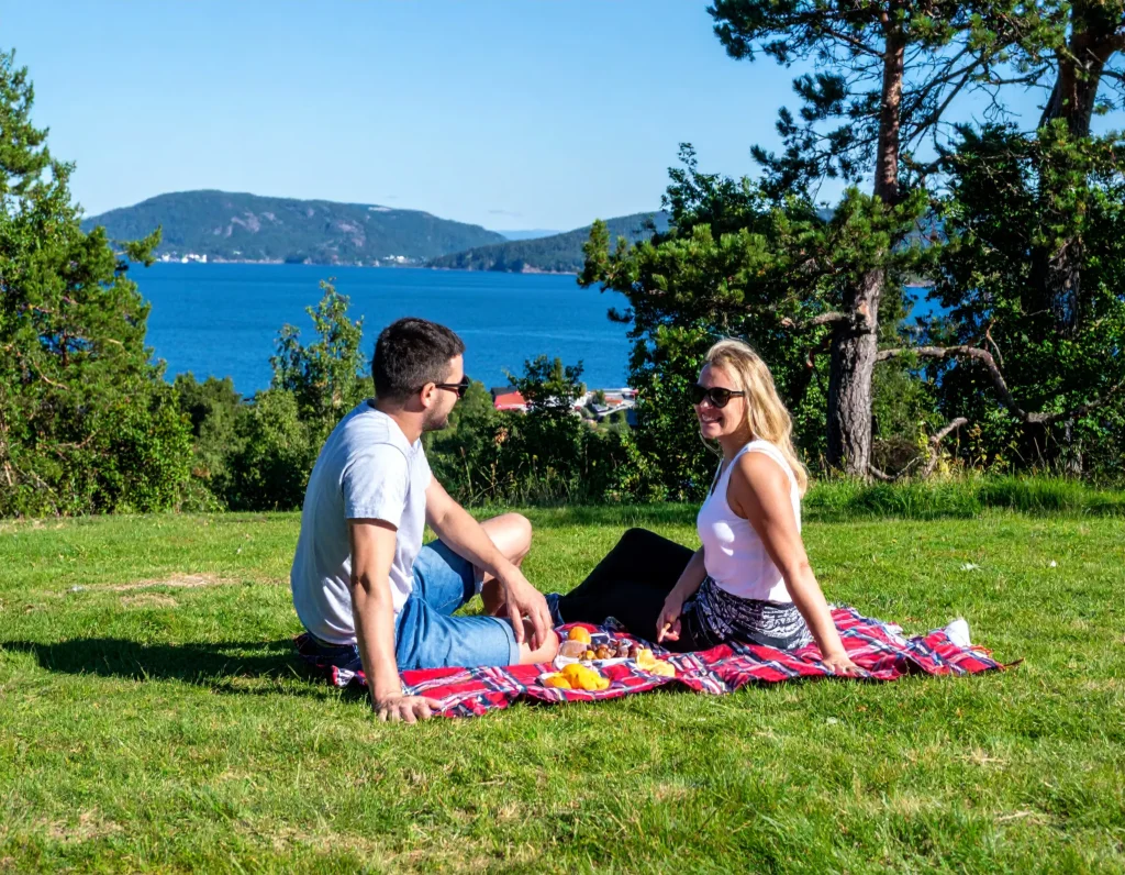 Et par som sitter på gresset og har piknik med fjorden i bakgrunnen